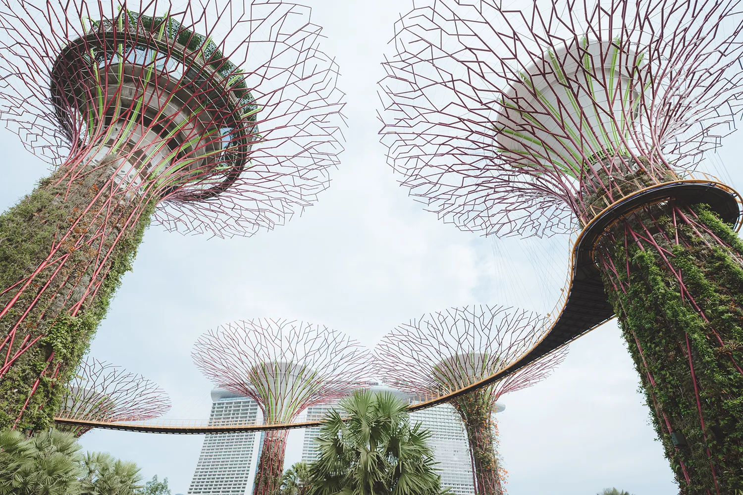 Pre-wedding photoshoot at Gardens by the Bay, Singapore