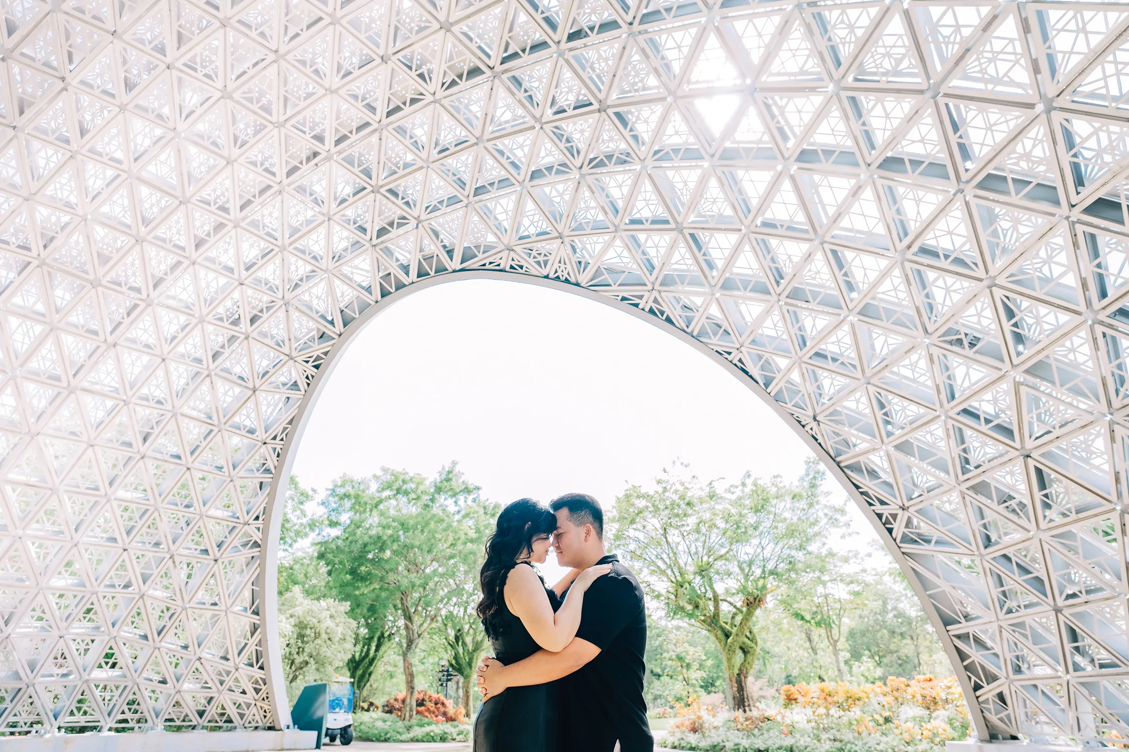 Marriage proposal at Gardens by the Bay, Singapore.