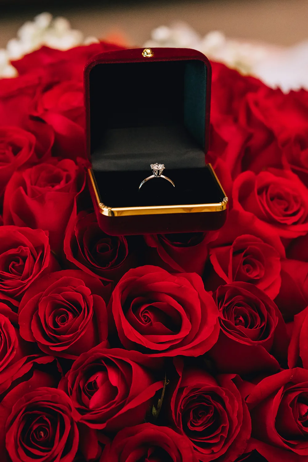Marriage proposal at Capella Sentosa, Singapore.