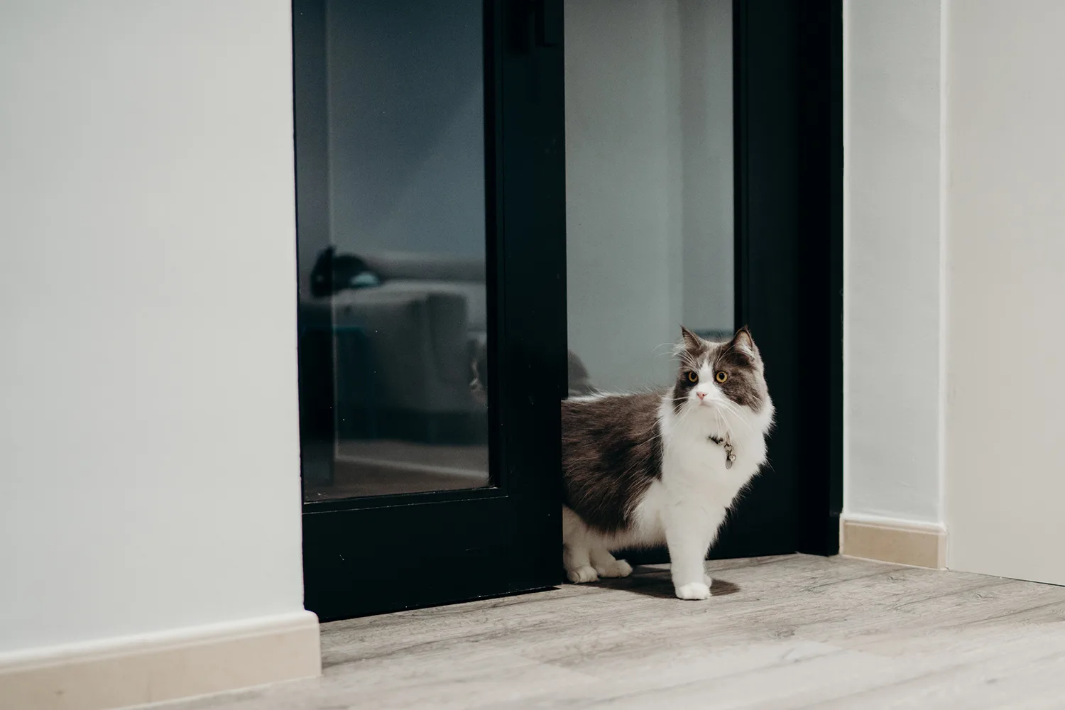 Bride's Henna Night in Singapore.